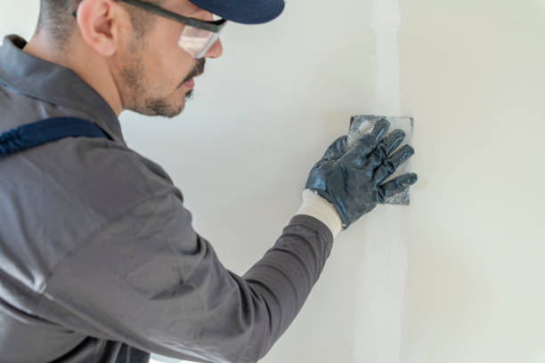 Best Fire-Damaged Drywall Repair  in Alpine, TX